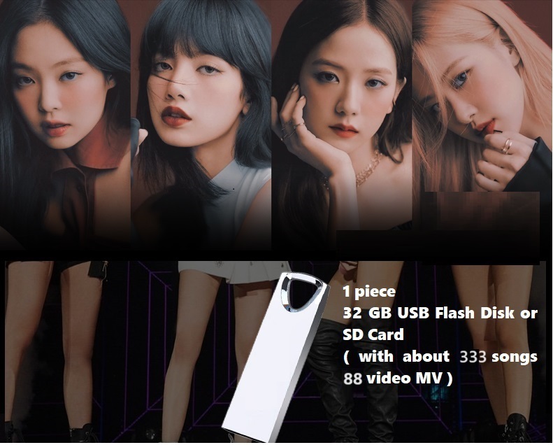 South Korea Female Singer Girl - Music Song Audio reseña y precio