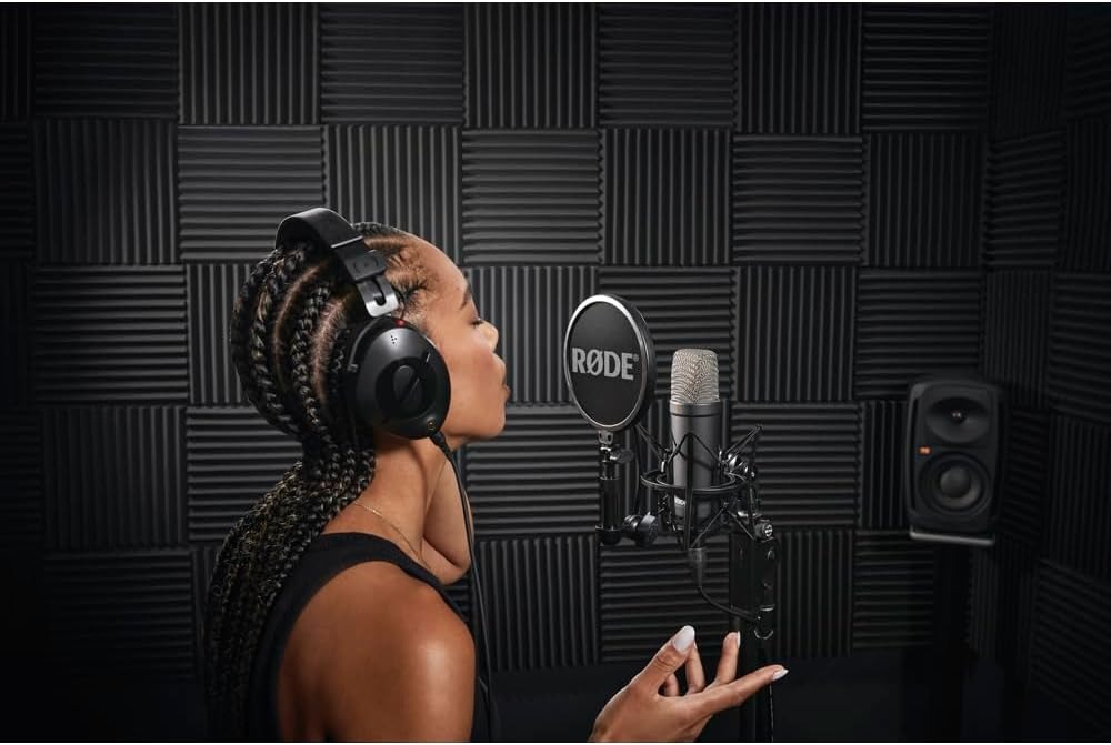 Professional Large-Diaphragm C - Xlr Microphone Condenser reseña y precio