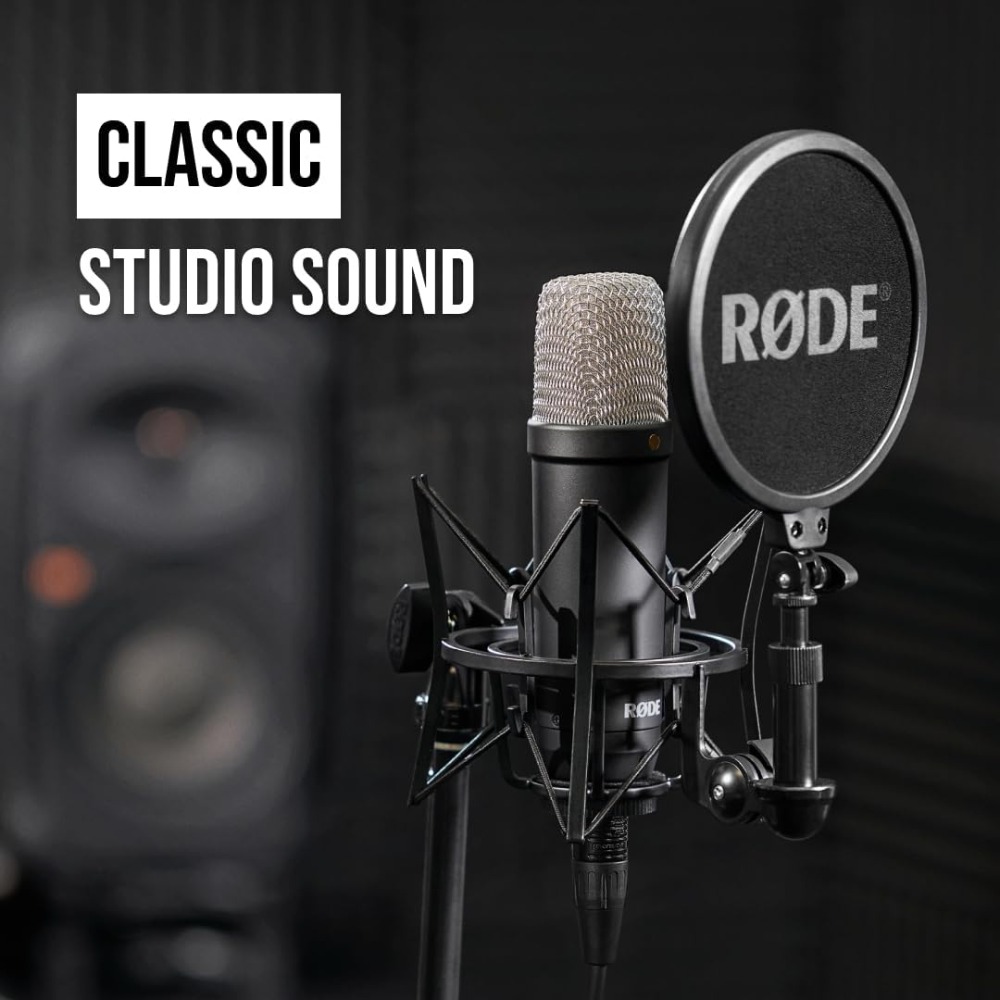 Professional Large-Diaphragm C - Xlr Microphone Condenser reseña y precio