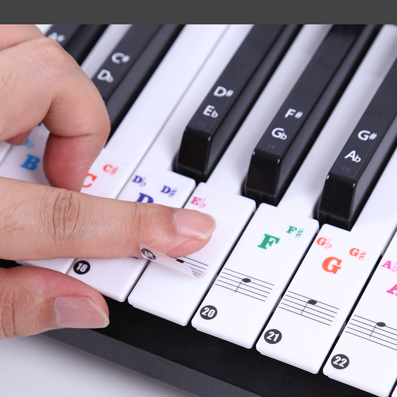 Transparent Piano Keyboard Sti - Audio Music Notes reseña y precio