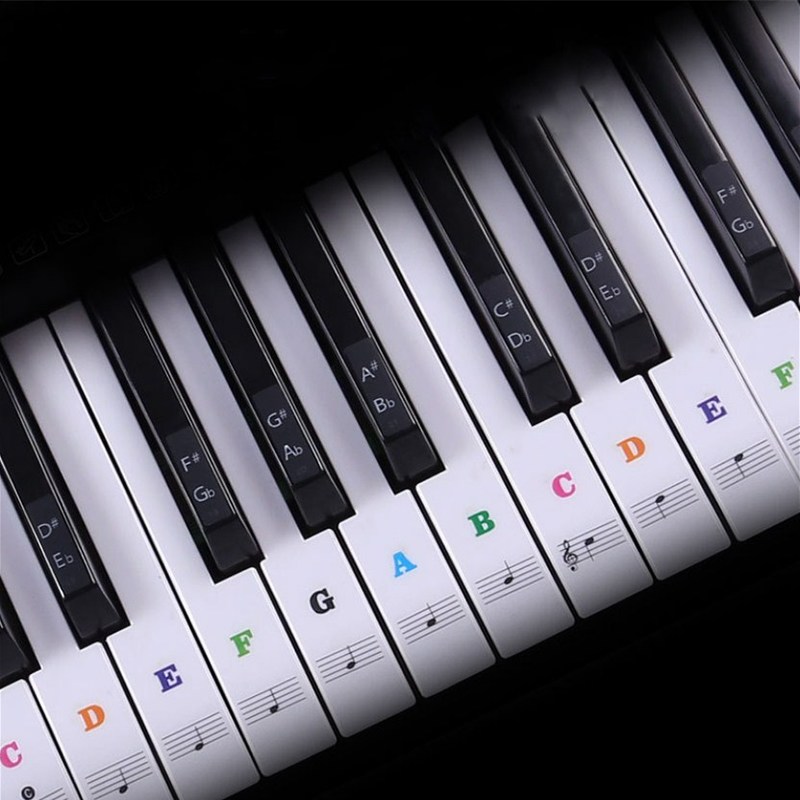 Transparent Piano Keyboard Sti - Audio Music Notes reseña y precio