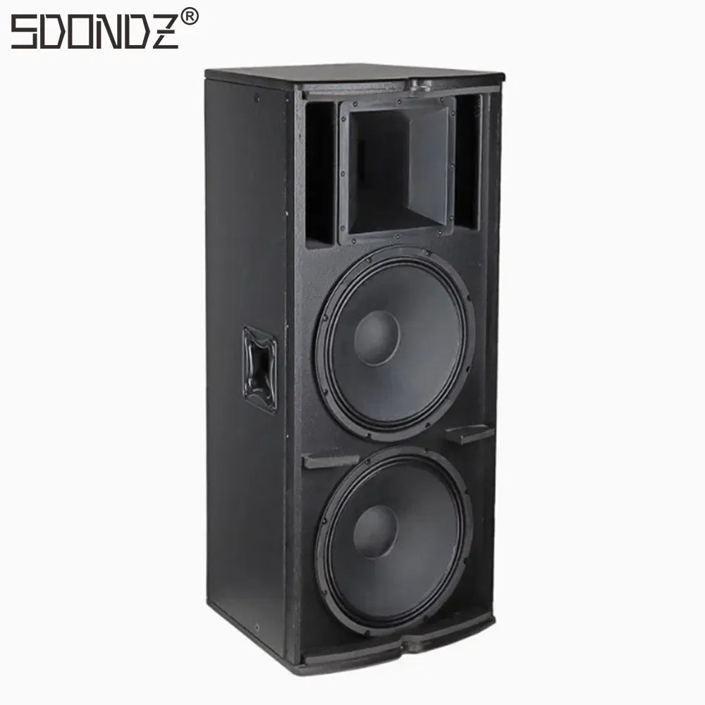 Professional 15‑Inch Passive P - Audio With Music reseña y precio