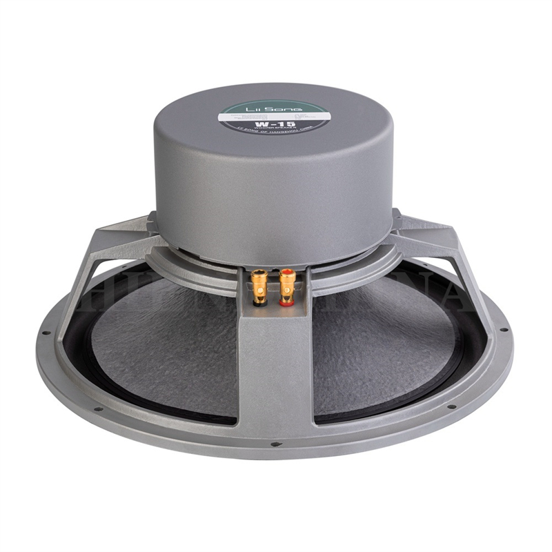 LS-02 Lii Song W-15 15 Inch Wo - Music Song Audio reseña y precio